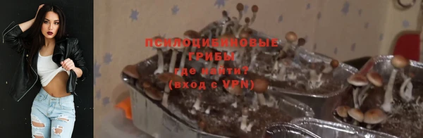 дживик Армянск