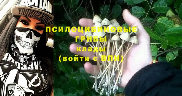 шишки Алексин