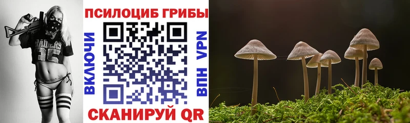 Псилоцибиновые грибы Psilocybe  shop наркотические препараты  Дыгулыбгей 